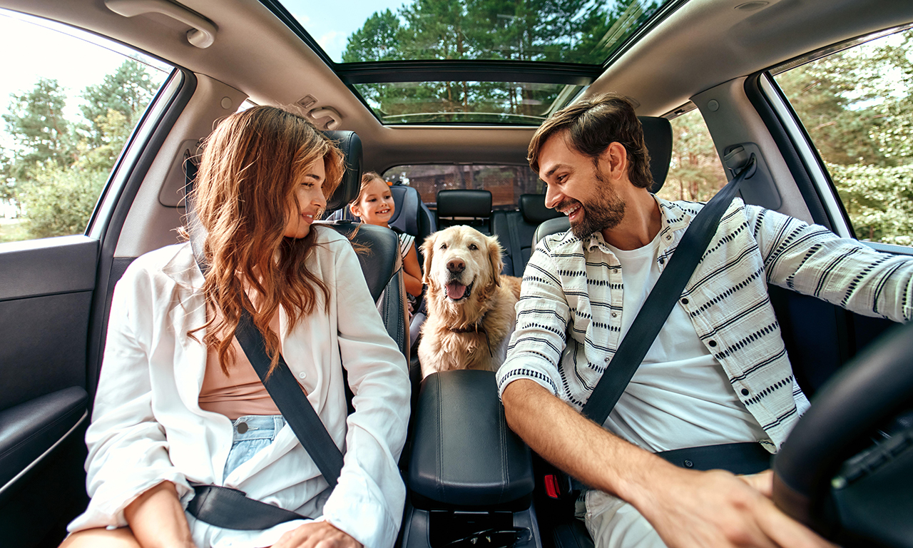 Insurance Background
